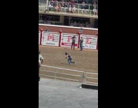 Guy riding on a tiny pony at the rodeo and falls off 