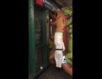 family dressed as dinosaurs with a kid