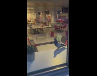 Pigeon bird walk inside cafeteria beside window