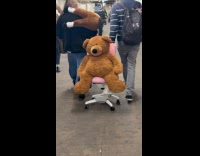 Guy pulls bear on chair at tunnel