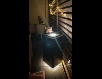 Collab Clips MPUGC2 - Cat drinking water off top of fountain light