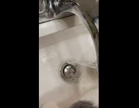 Cat sink reflection drain 