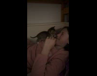 Cat sits on chest pokes owner face