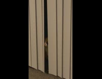 Cat sits behind white blinds peeks through 