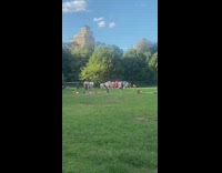 People wear inflatable bubble bumper ball park 