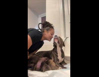 Mother dog receives kisses from its owner