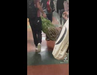 Christmas tree in school restroom 