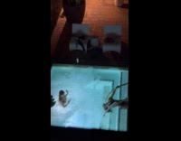 Woman bikini holds pool handrail for photo