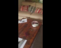 Rabbit under desk cats lay inside cage