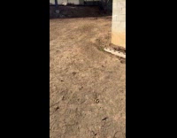 Man shows soil with water reflection turned pink