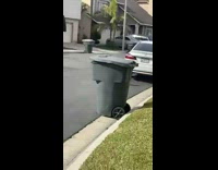 Excited cone corgi runs around guy out of car