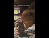 Brown dog laying close to guy