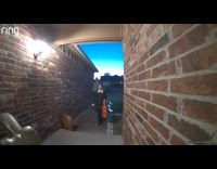 Couple scared of kid trick or treating 