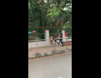 Woman orange Indian dress photo shoot sidewalk