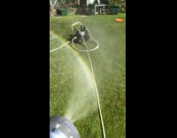 Collab DailyDoseOfInternet - Water hose garden produced a small rainbow