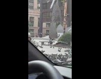 Kid with a helmet holds a pigeon at the park