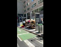 Hat covered by swarm of bees store 