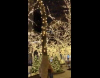 Woman bend over photo shoot Christmas tree lights