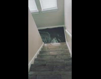 Hurricane flooding in bottom stairs house 
