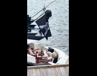 Boat with dog flag on it