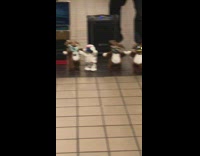 Guy plays saxophone with dancing animal dolls 