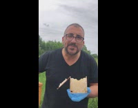 Black shirt guy eats fresh warm honeycomb 