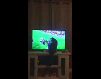 (3RD PARTY CONTENT) Black cat sits blocks television football game 