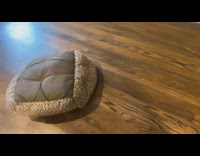 Dog walks with bed on body