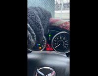 Woman wearing mittens pretending to be chameleon 