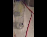 Alcohol bottles money thrown on chicken