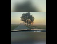 Guy drives car during sunrise street road 