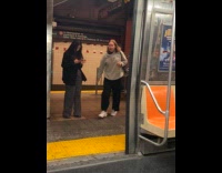 Submitter shows subway door malfunction when closing