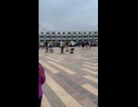 Collab IITW - Dog rides onewheel with owner at park