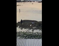 Two women in bikini in a different shoot at the beach