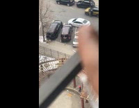 Car blocked tries to back up on sidewalk part 2
