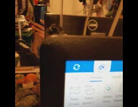 Small spider on the laptop jumps towards filmer