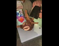 Collab BitchIG2 - Coconut face cake mugs