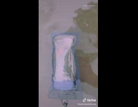 Girls take goldfish out for walk in rain