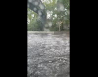 Jeep and car go fast on highway flood