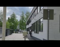 Employee cover from seagull attack colleague laughs