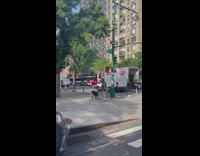 Pet dog carries takeout order of owner on the sidewalk