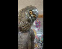 Girl staring at sasquatch statue 