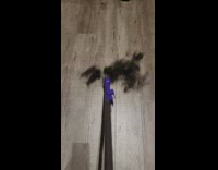 Tube suck dog fur on the floor