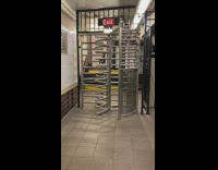 Pt. 2 Doberman dog stands on stairs behind turnstiles and stares at camera