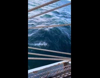 Man joins liqa sto meme on ship