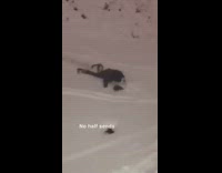 no half sends guy skis off small hill