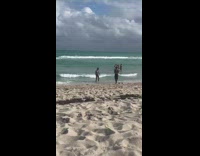 IITW - 4 men in green speedos wrestle in ocean at beach. Black man with sparkly shorts and halter top takes pics too.