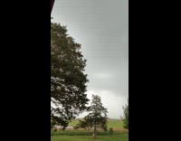 Collab Clips MPUGC2 - Man claims to be a natural disaster