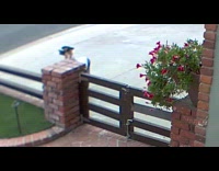 Kid rolls as he breaks his fall from fence 