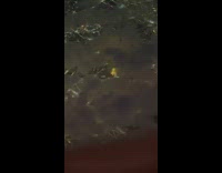 Bright Eiffel tower seen from sky night